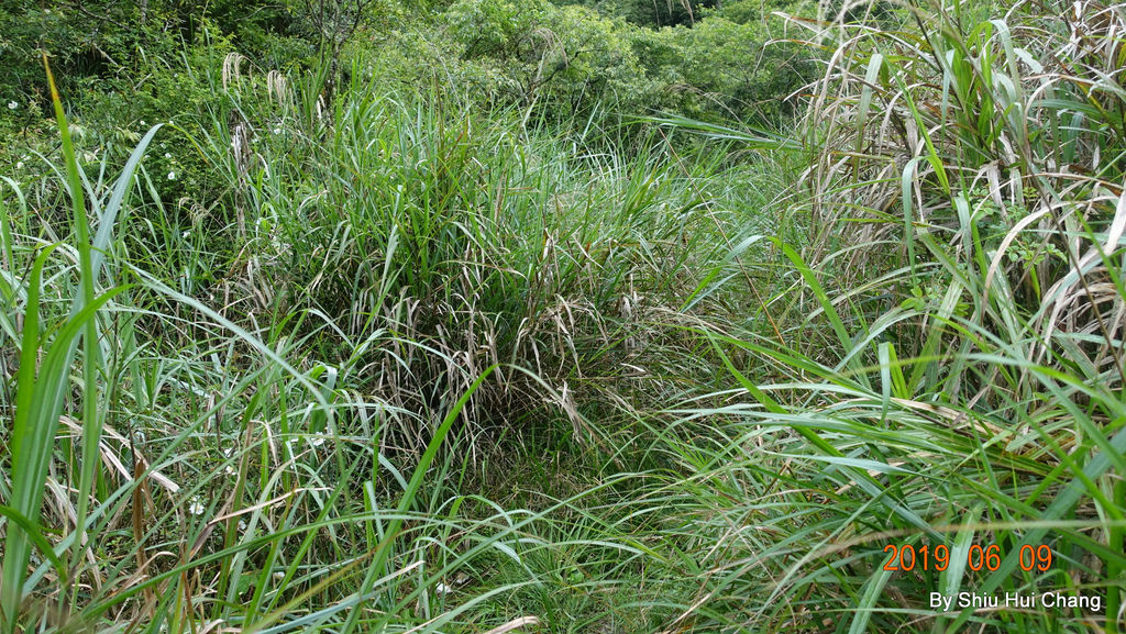 DSC07672.JPG DSC07672.JPG