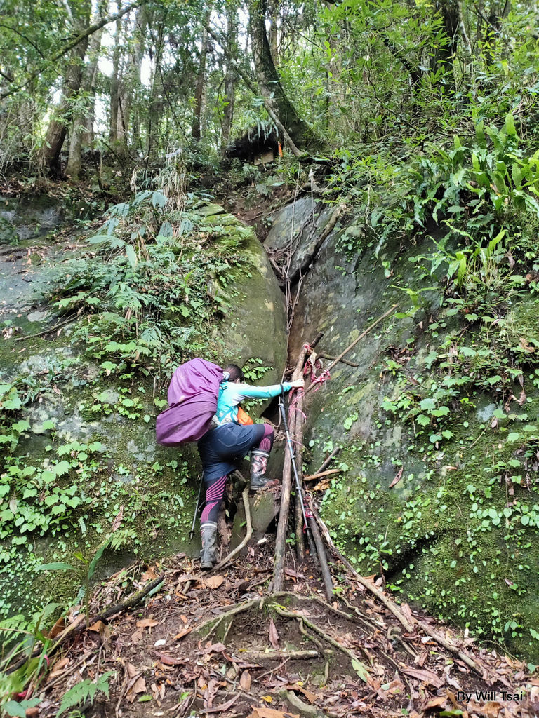 d1-59-1.jpg d1-59-1.jpg