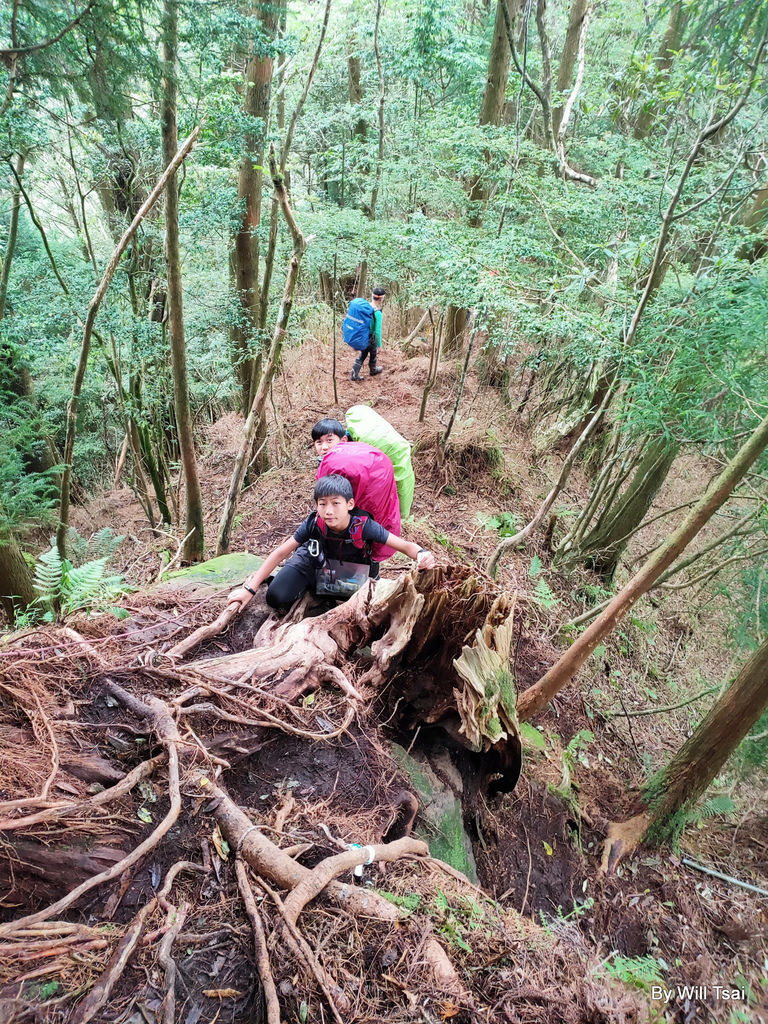 d2-52-2.jpg d2-52-2.jpg