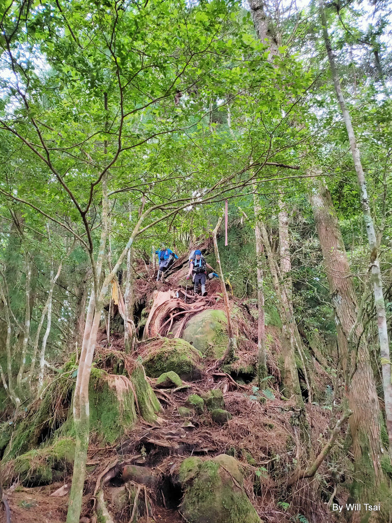 d2-52-3.jpg d2-52-3.jpg