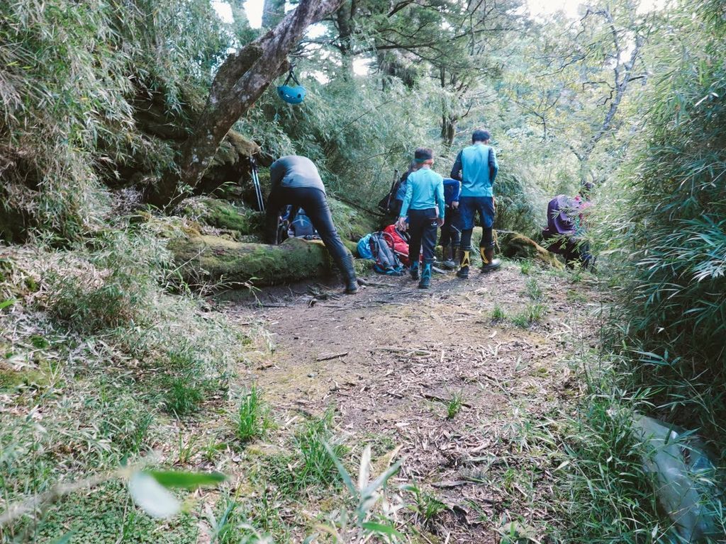 1-74-1.jpg 1-74-1.jpg