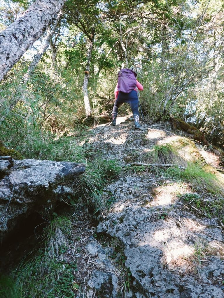 2-73-1.jpg 2-73-1.jpg