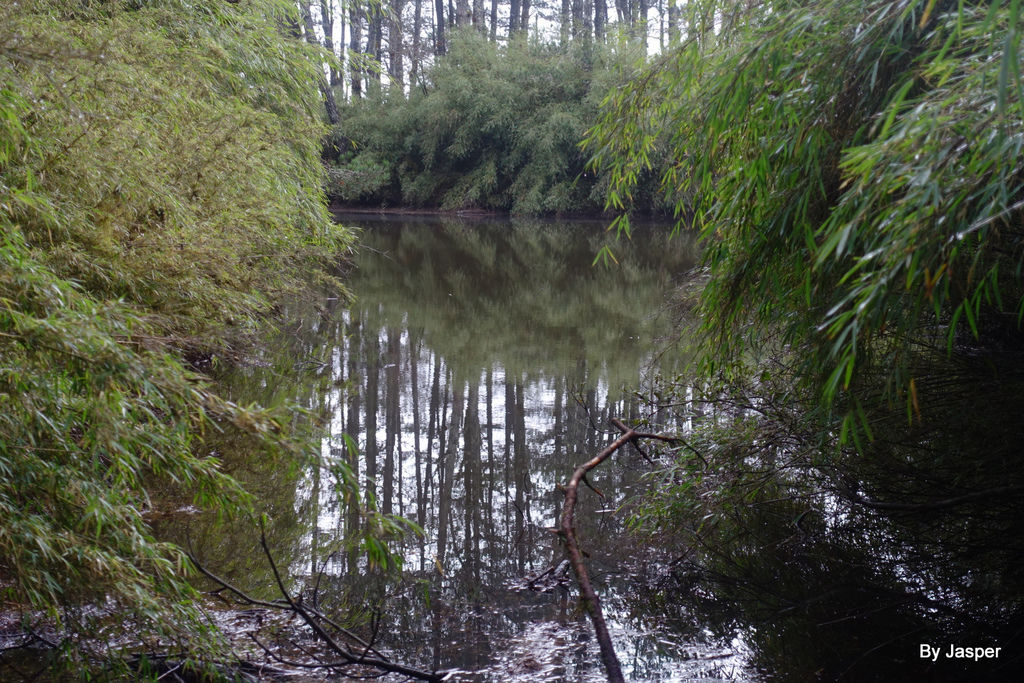 /tmp/phpMzkrCR /tmp/phpMzkrCR