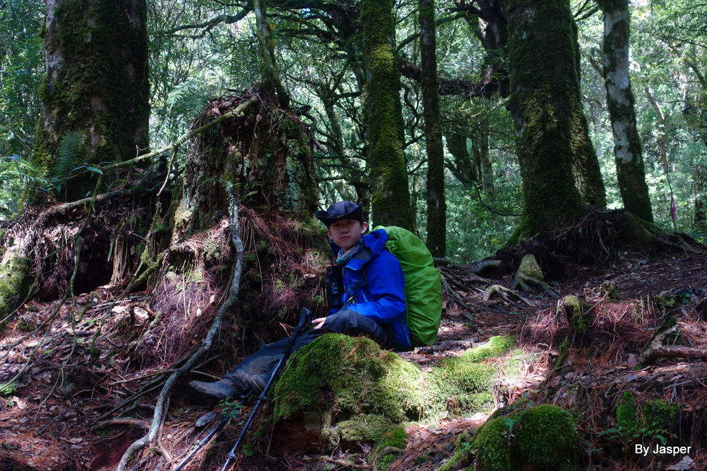 /tmp/phpnP3P8G /tmp/phpnP3P8G