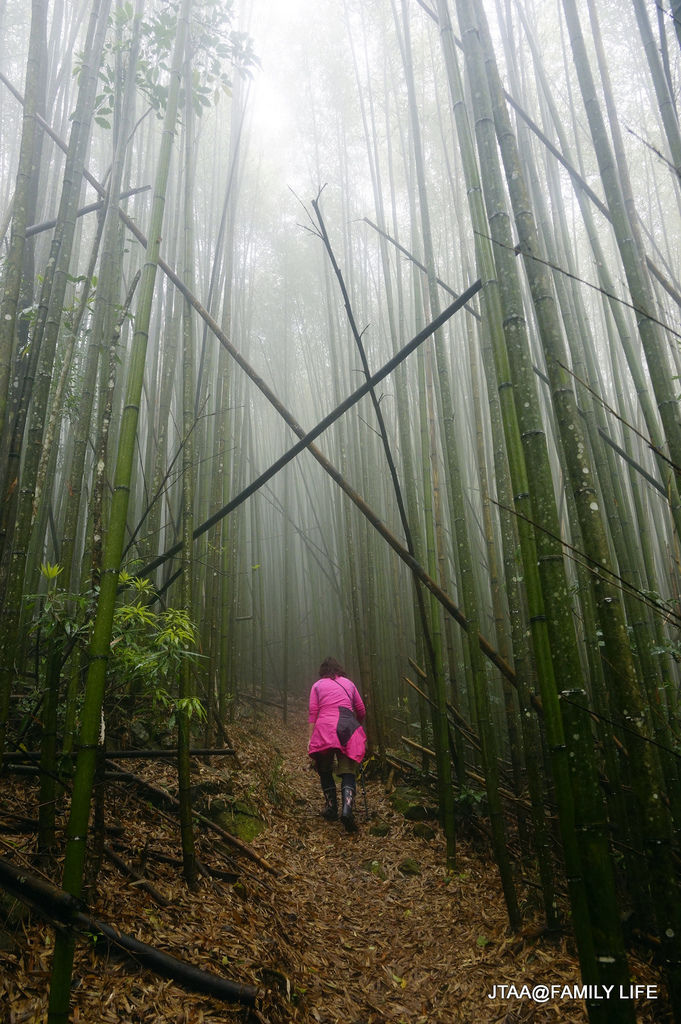 03 28 29 鬼澤山 190露 新竹五峰楠桂坊露營區 25 Jpg 13 11 23 24 23露 苗栗烏嘎彥露營區 痞客邦pixnet 03 28 29 鬼澤山 190露 新竹五峰楠桂坊露營區 25 Jpg 13 11 23 24 23露 苗栗烏嘎彥露營區 痞客邦pixnet