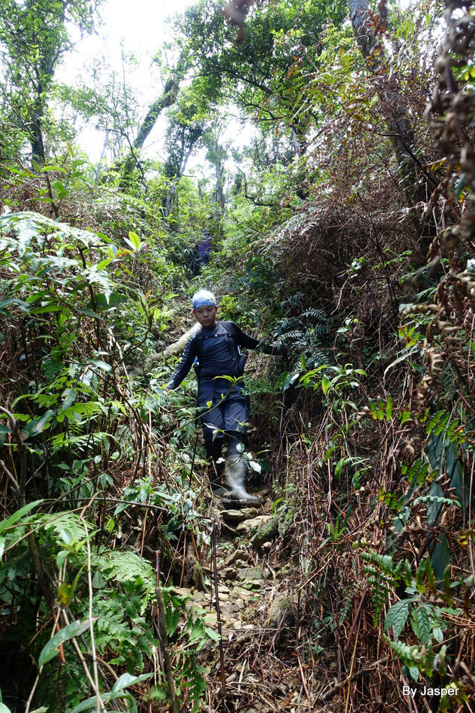 200613o_50006891513_o.jpg 200613o_50006891513_o.jpg