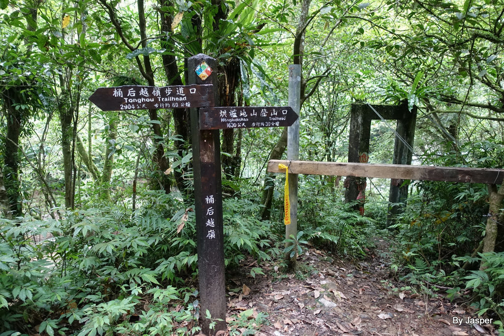 200613o_50007409431_o.jpg 200613o_50007409431_o.jpg