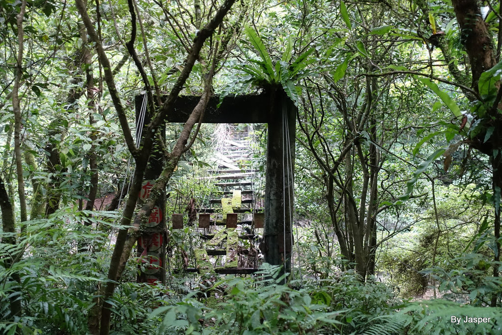 200613o_50007413701_o.jpg 200613o_50007413701_o.jpg