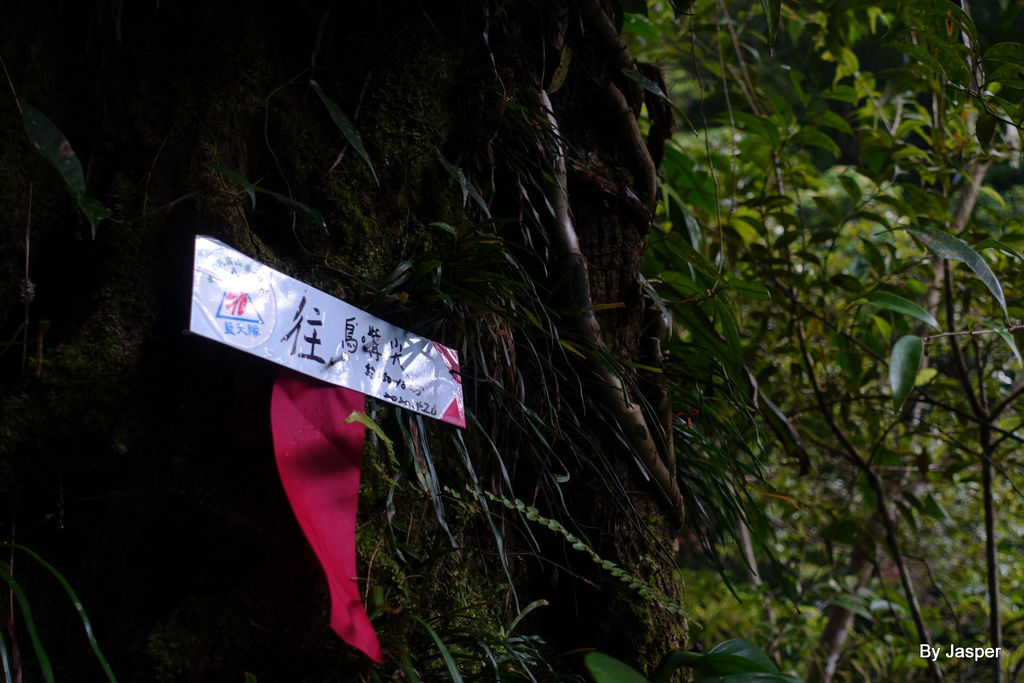 200613o_50007427456_o.jpg 200613o_50007427456_o.jpg