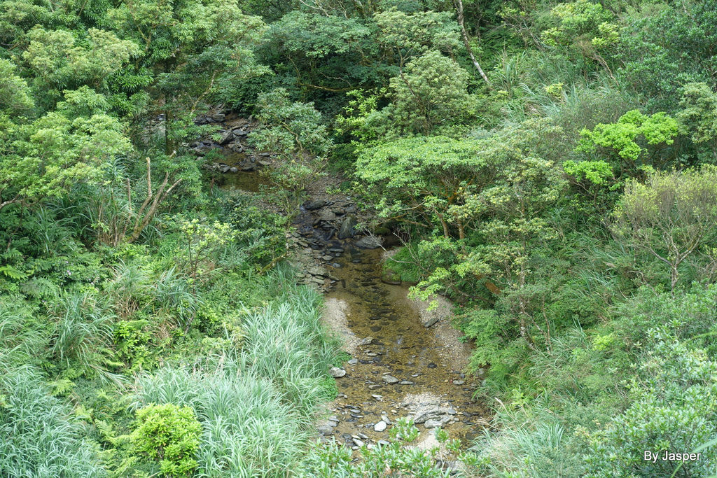 200613o_50007677172_o.jpg 200613o_50007677172_o.jpg