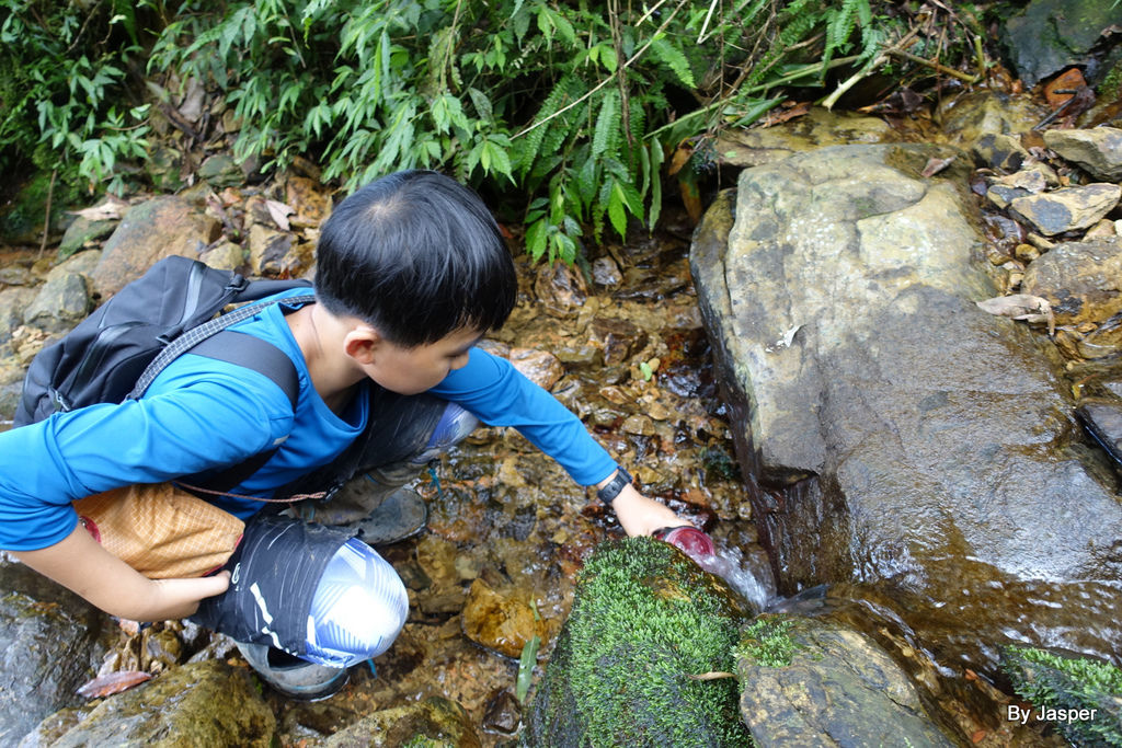 200613o_50007679637_o.jpg 200613o_50007679637_o.jpg