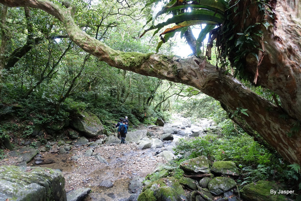 200613o_50007679037_o.jpg 200613o_50007679037_o.jpg