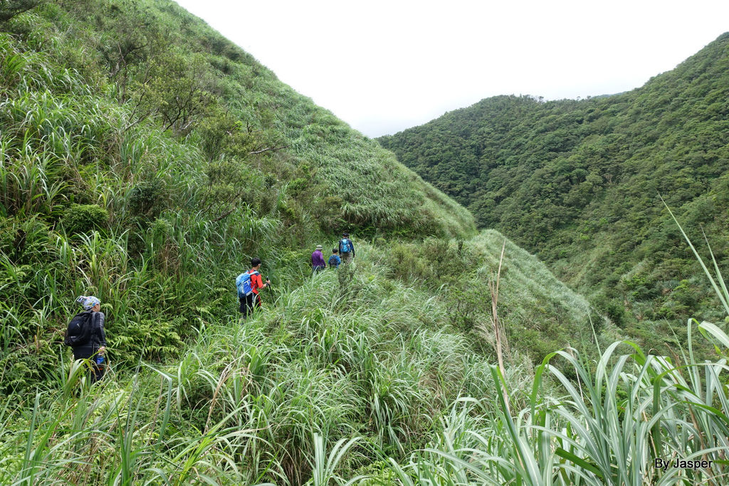 200613o_50007677452_o.jpg 200613o_50007677452_o.jpg