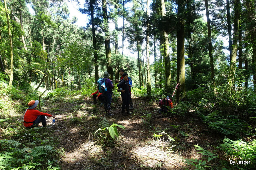 200613o_50007684142_o.jpg 200613o_50007684142_o.jpg