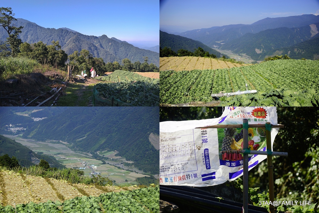 99-443.JPG 99-443.JPG