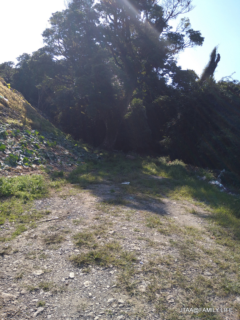 99-541.JPG 99-541.JPG