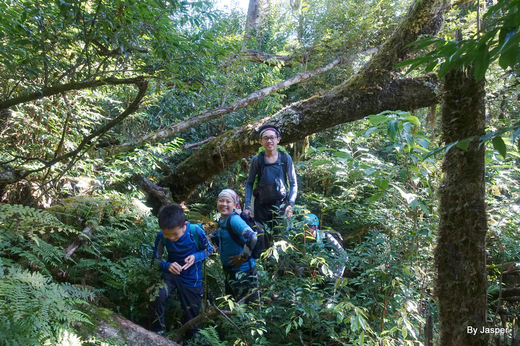 50314780206_3a5f8264d3_o.jpg 50314780206_3a5f8264d3_o.jpg