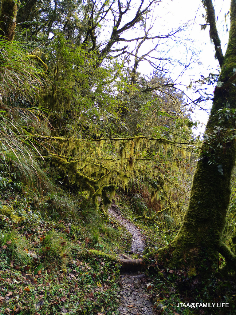 73-732.JPG 73-732.JPG