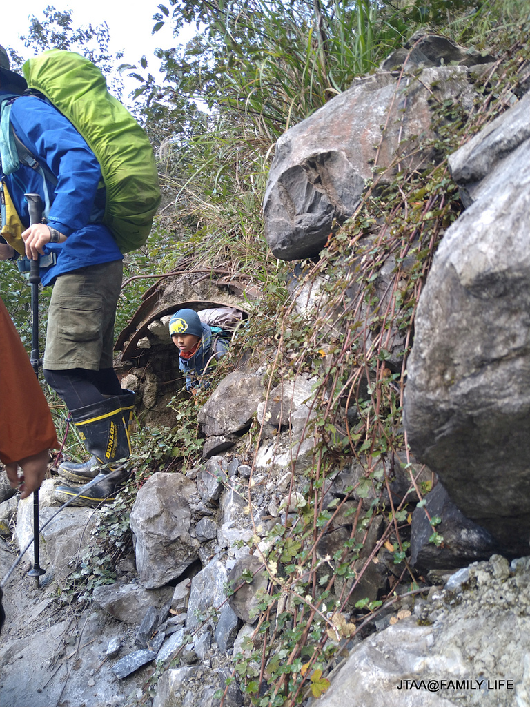 82-391.JPG 82-391.JPG