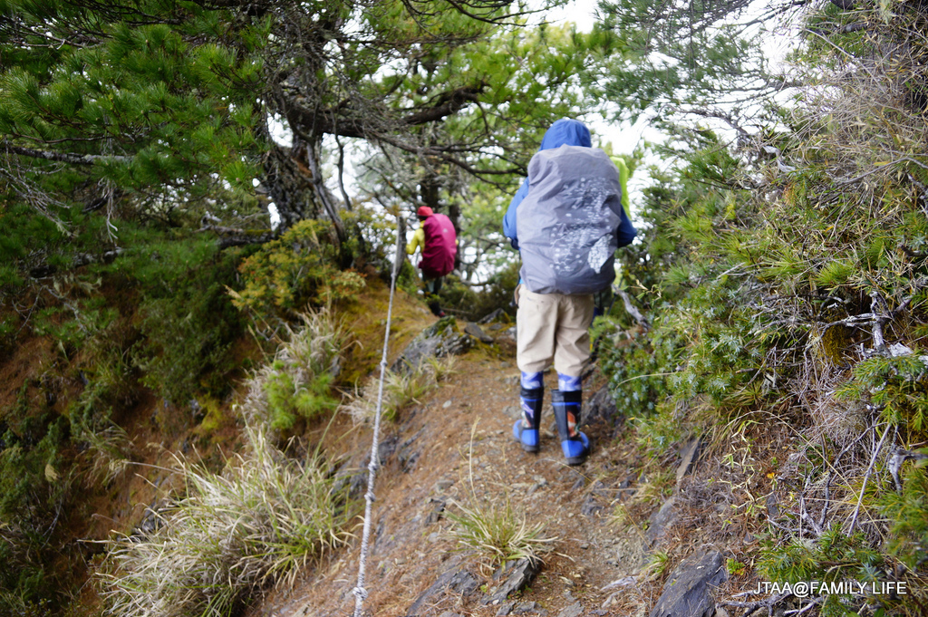 13-1-1.JPG 13-1-1.JPG