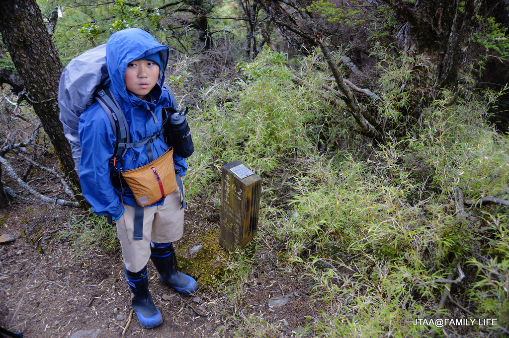 13-1-2.JPG 13-1-2.JPG