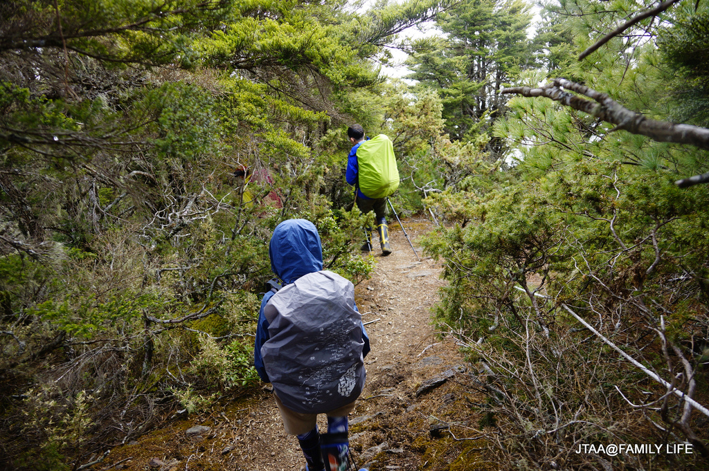 13-1-3.JPG 13-1-3.JPG