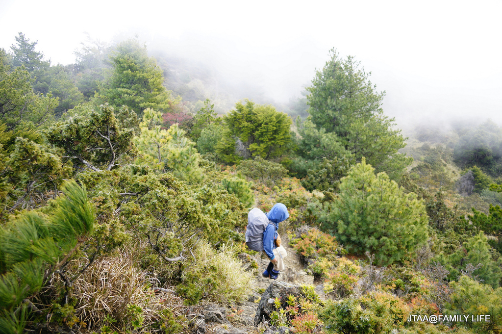 13-1-5.JPG 13-1-5.JPG