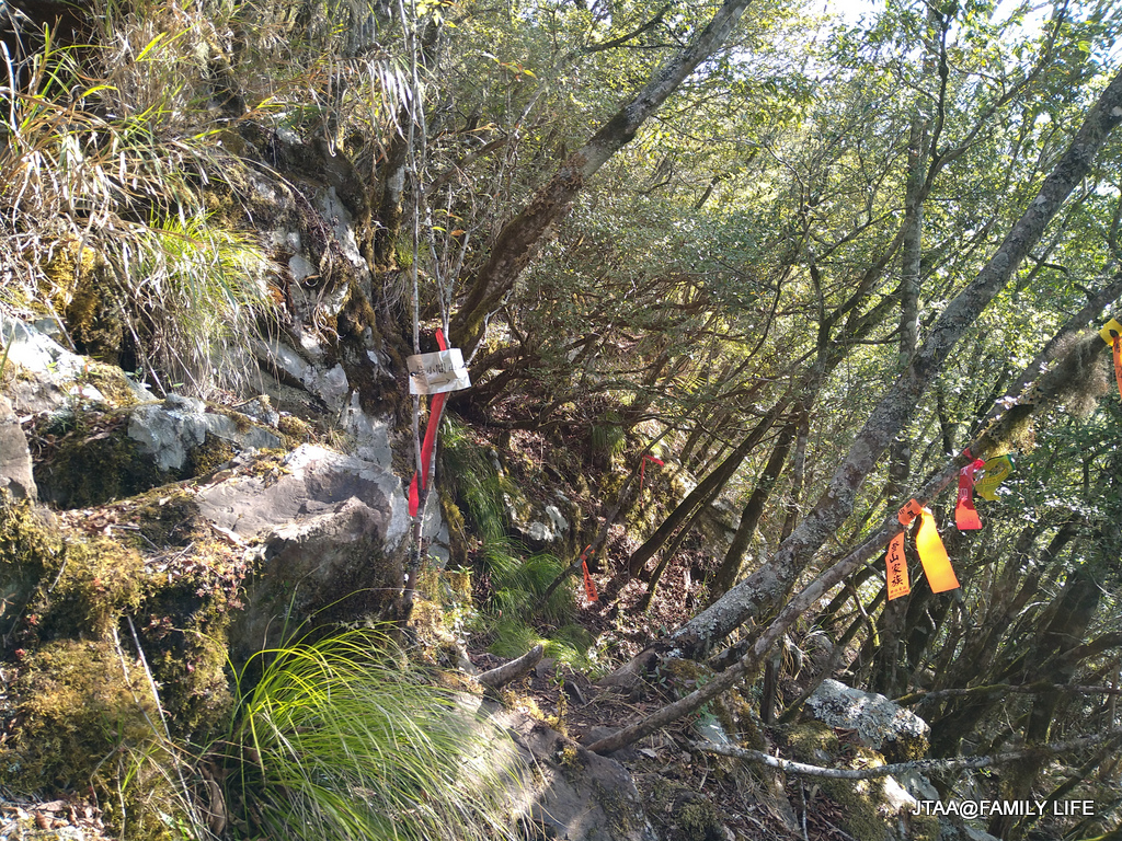 02-8-1.JPG 02-8-1.JPG