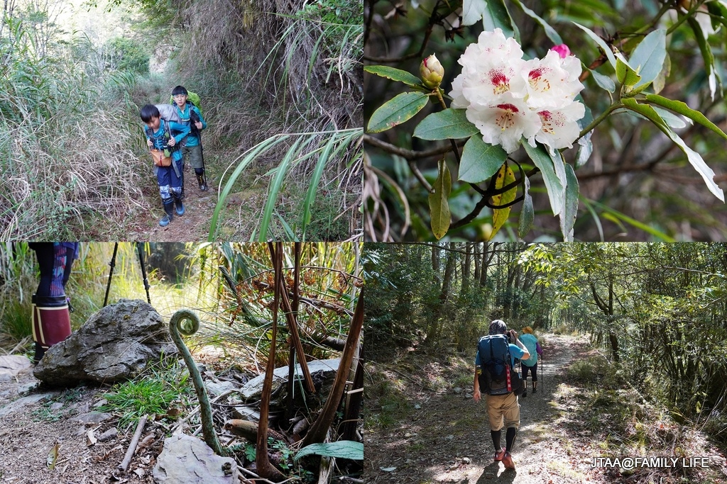 03-7-0.JPG 03-7-0.JPG