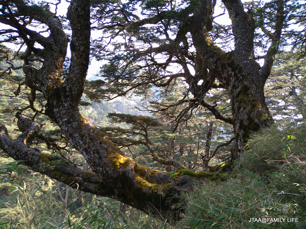 23-4-1.JPG 23-4-1.JPG