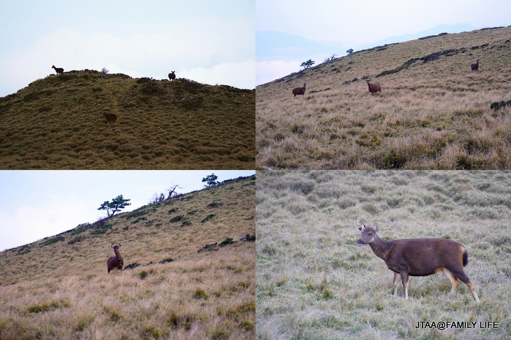 52-1-3.JPG 52-1-3.JPG