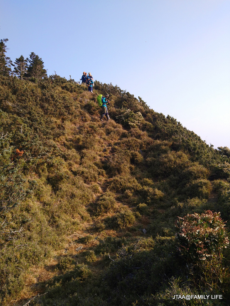 56-6-2.JPG 56-6-2.JPG