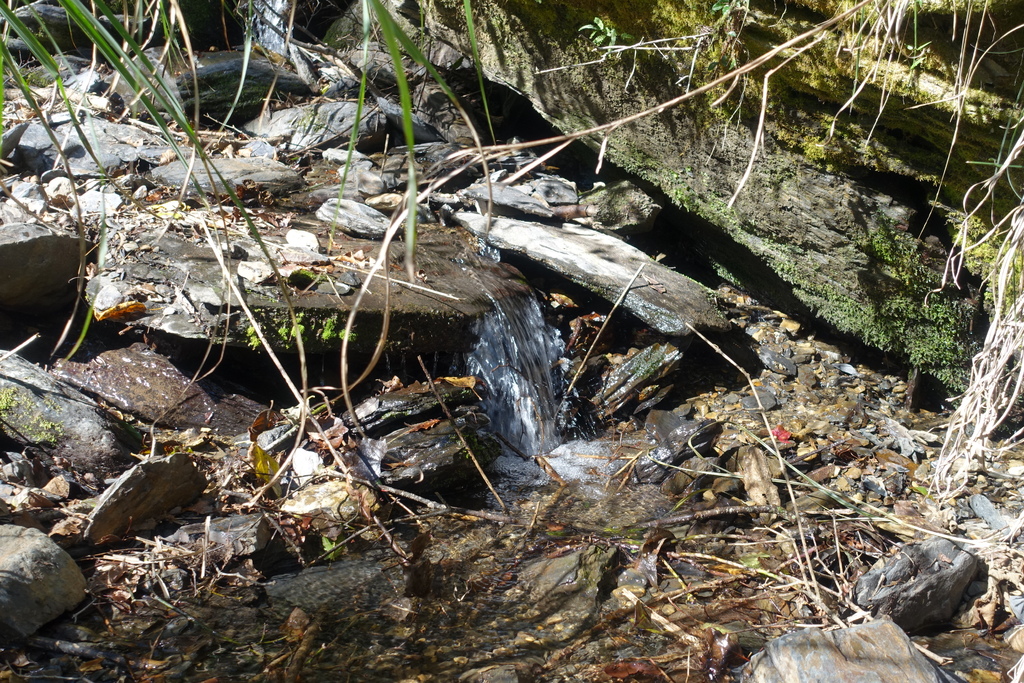 /tmp/phpgIpQlZ /tmp/phpgIpQlZ