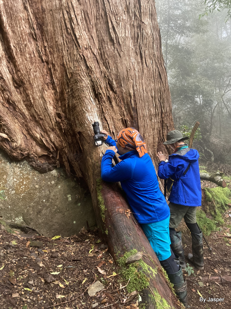 51986468773_d1bfc57239_o.jpg 51986468773_d1bfc57239_o.jpg