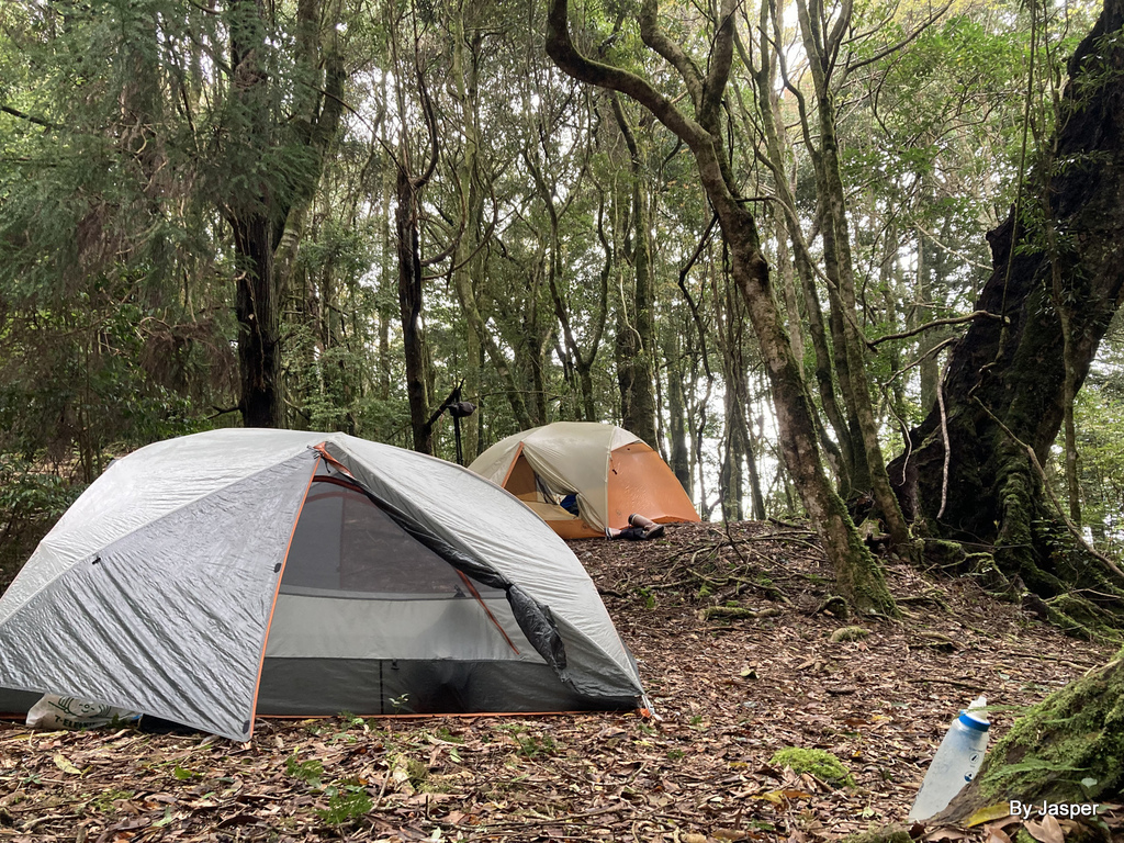 51986696954_f17991b6a6_o.jpg 51986696954_f17991b6a6_o.jpg