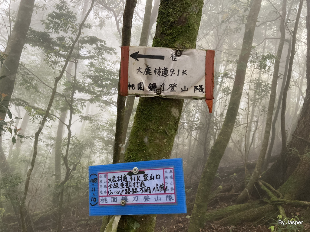 51987823600_cd190030a6_o.jpg 51987823600_cd190030a6_o.jpg