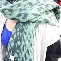 P1310129 豹紋圍巾(綠、米、粉、藍、黃5色) 訂價1080