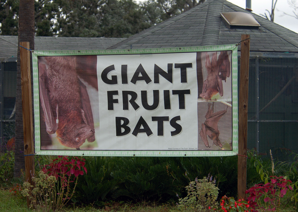 Fruit Bat Shelter