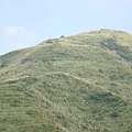 這座山有登山步道可以爬上去喔！