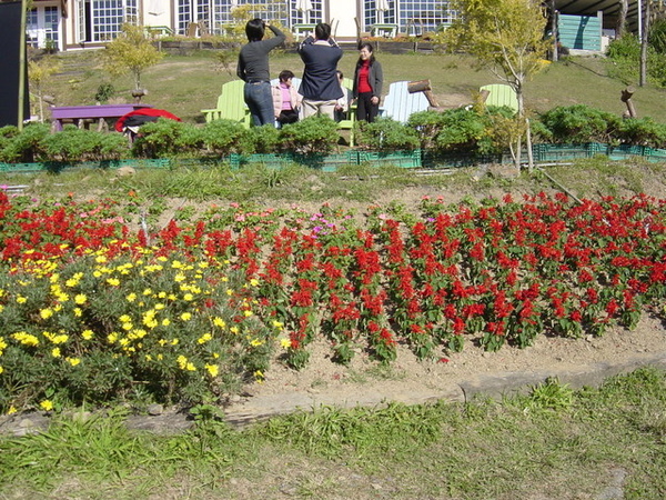 花花花