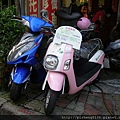 P8090066.JPG
