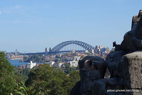 【雪梨】動物點點名,老少咸宜的好去處:Taronga Zoo