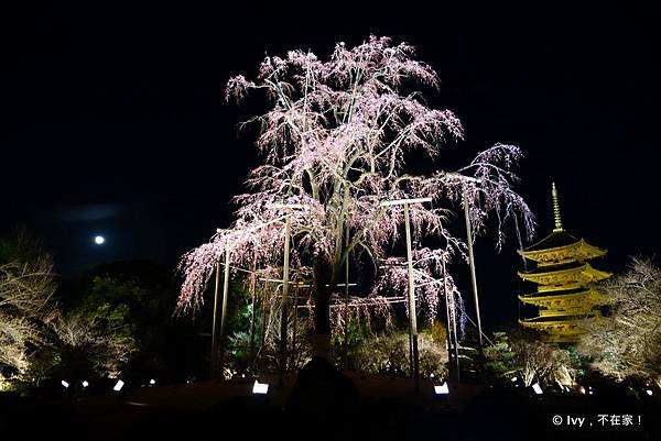 21-DSC06894 21-DSC06894