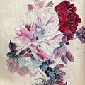 peony1.jpg