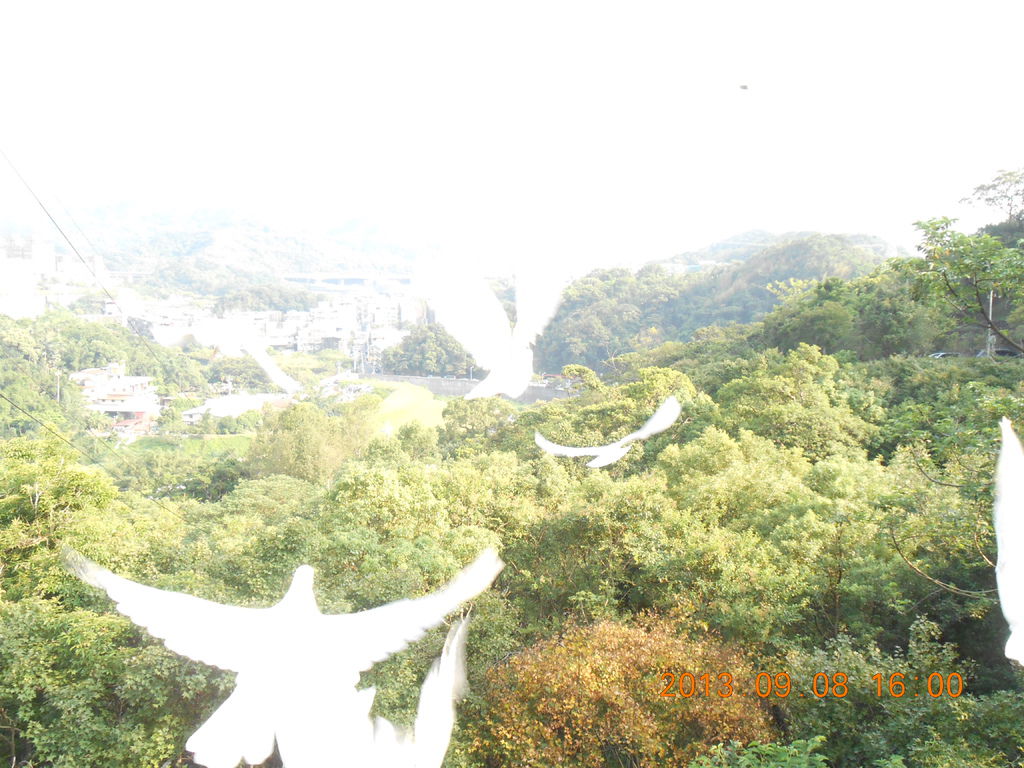 9月 801 9月 801