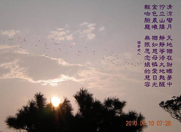 1181892664 1181892664
