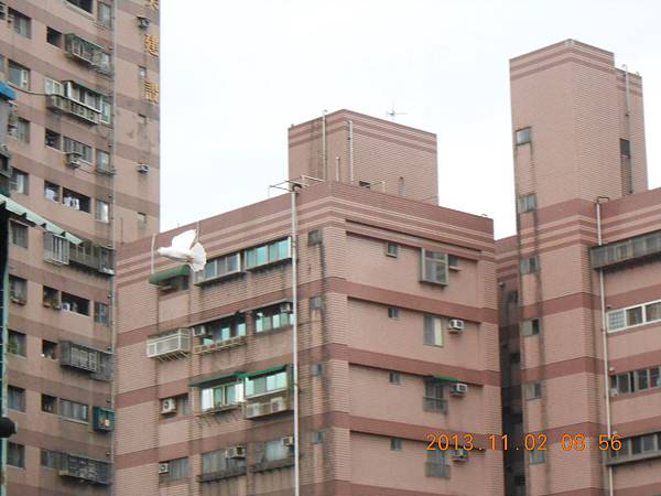外訓 438 外訓 438