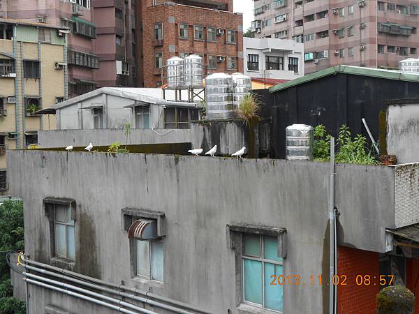 外訓 439 外訓 439