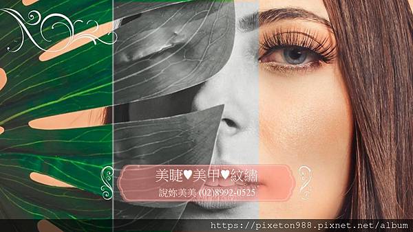 新北市新莊植睫毛說妳美美接睫毛店 新北市新莊植睫毛說妳美美接睫毛店
