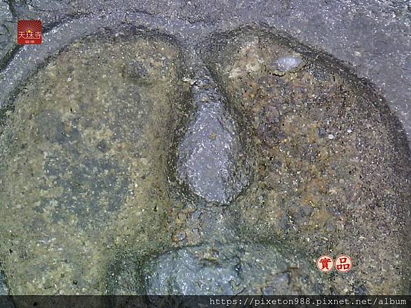 泰國佛牌 泰國神牌文化 泰國護法神 Thai amulets 瓦給猜優崇迪 瓦拉康崇迪佛牌圖鑑